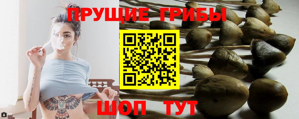 Галлюциногенные грибы Magic Shrooms  Вход с VPN  Нижний Новгород  магазин продажи   Галлюциногенные грибы MAGIC MUSHROOMS 